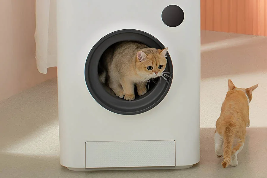 electronic kitty litter box